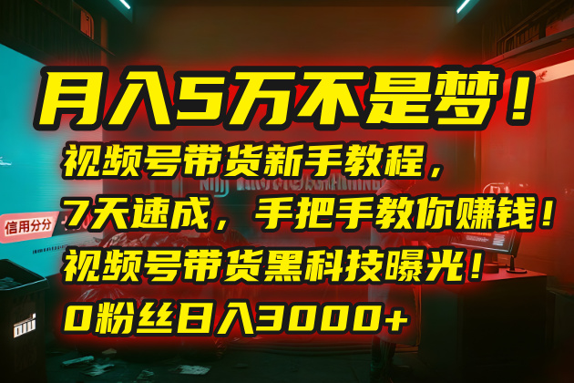 月入5万不是梦！视频号带货新手教程，7天速成，手把手教你赚钱！视频号…-77so