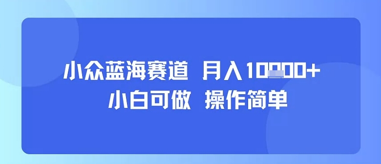 小众蓝海赛道，小白可做，操作简单，每天30分钟，月入1W+-77so