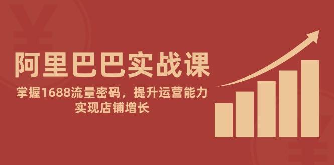 （14830期）阿里巴巴实战课：掌握1688流量密码，提升运营能力，实现店铺增长-77so