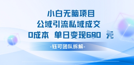 小白无脑项目公域引流私域成交0成本单日变现680米-77so