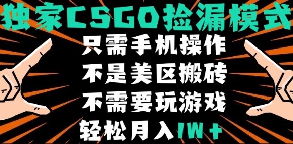 CSGO自动捡漏项目，最新独家玩法，不是美区搬砖，不需要了解和玩游戏，新手小白轻松月入1W+【揭秘】-77so