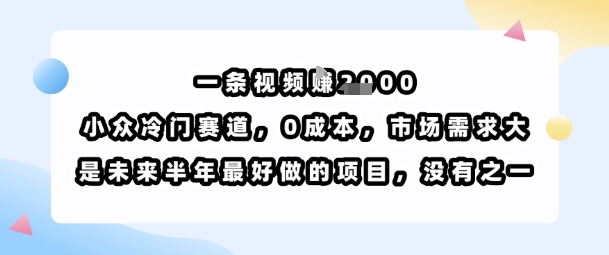 一条视频挣1k，小众冷门赛道，0成本，市场需求大，是未来半年最好做的项目，没有之一-77so
