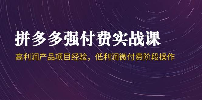 （14874期）拼多多强付费实战课-44期，高利润产品项目经验，低利润微付费阶段操作-77so