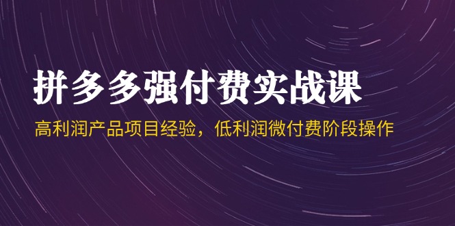 拼多多强付费实战课-44期，高利润产品项目经验，低利润微付费阶段操作-77so