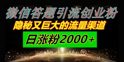 微信答题引流创业粉，隐秘又巨大的流量渠道一小时引流200人，日涨粉2000+-77so