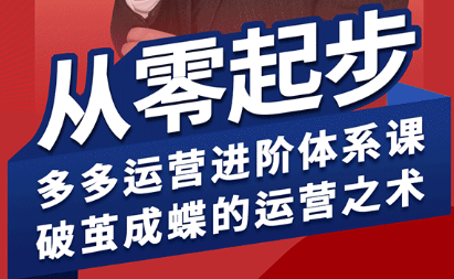 海神·拼多多运营进阶系统课(更新8月)-77so