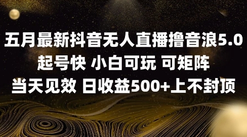2025五月最新无人直播撸音浪单日产出5张+实操教程【揭秘】-77so