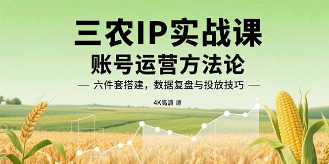 三农IP实战课：账号运营方法论，六件套搭建，数据复盘与投放技巧-77so