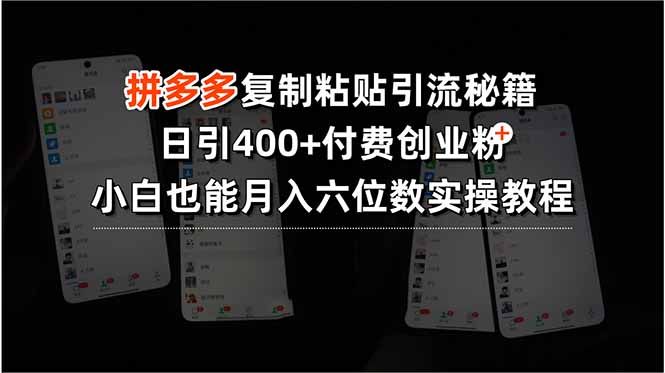 拼多多复制粘贴引流秘籍，日引400+付费创业粉，小白也能月入六位数实操…-77so