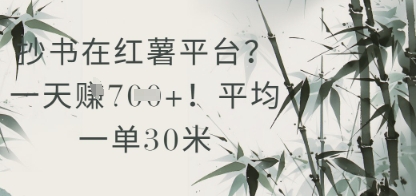 抄书在小红薯平台？平均一单30米，一天收益几张！-77so