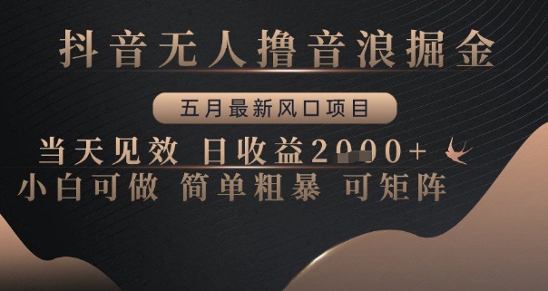 抖音无人撸音浪掘金，五月最新风口项目，当天见效，日收益多张，小白可做简单粗暴可矩阵【揭秘】-77so