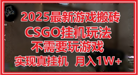 2025最新游戏搬砖，CSGO挂G，不需要玩游戏，实现真挂G，月入1W+【揭秘】-77so