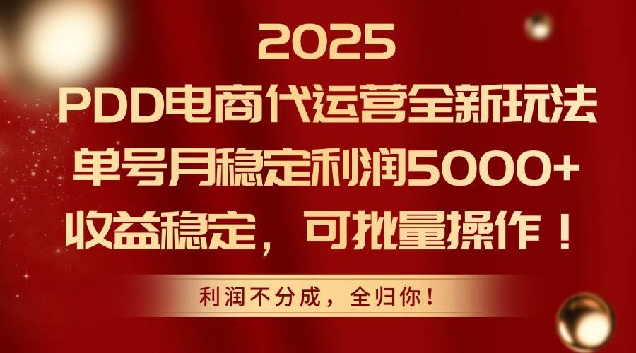 （14839期）2025PDD电商代运营全新玩法，单号月稳定利润5000+，收益稳定，可批量操作-77so