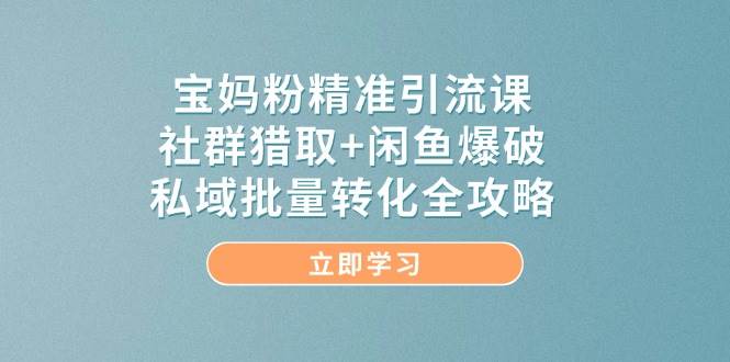 宝妈粉精准引流课，社群猎取+闲鱼爆破，私域批量转化全攻略-77so