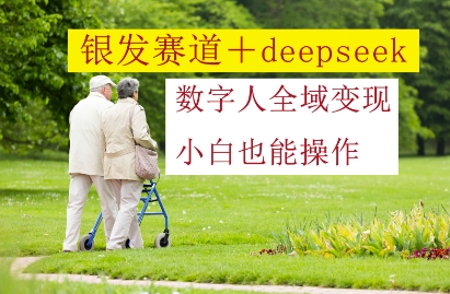 银发赛道+deepseek数字人全域变现，小白也能操作-77so