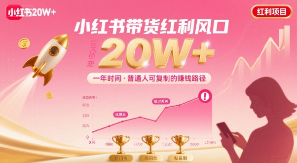 一年时间靠小红书带货项目年入20w+，最不能错的大红利项目-77so