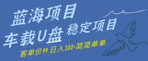 蓝海项目车载U盘稳定项目，挣的就是信息差，客单价99，日入几张简简单单-77so