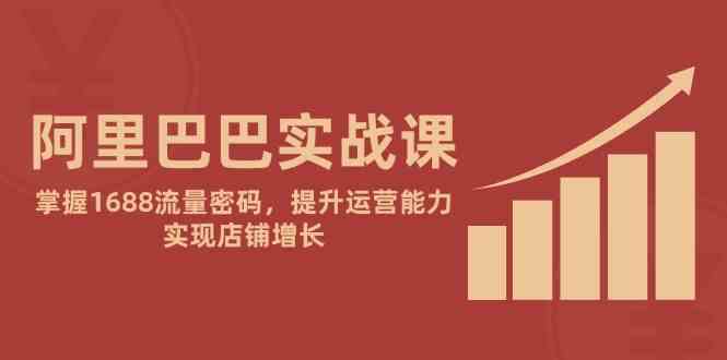 阿里巴巴实战课：掌握1688流量密码，提升运营能力，实现店铺增长-77so