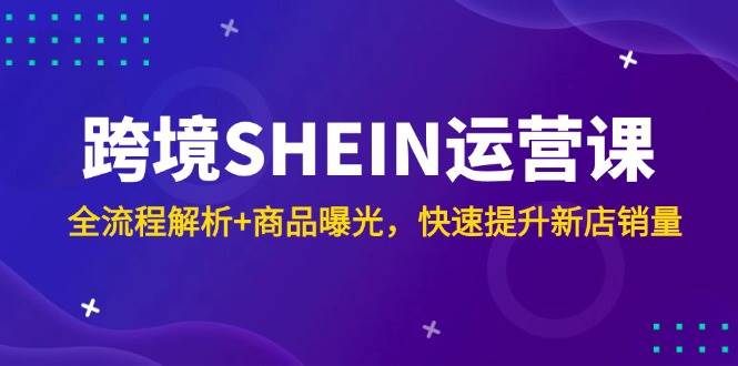 （14832期）跨境SHEIN运营课，全流程解析+商品曝光，快速提升新店销量-77so