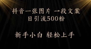 每天2分钟，抖音一张图片 一段文案日引流500粉-77so