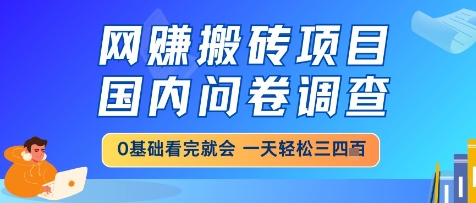 网创搬砖项目，国内问卷调查，小白轻松上手，一天三四张的也不难，干就完了【揭秘】-77so